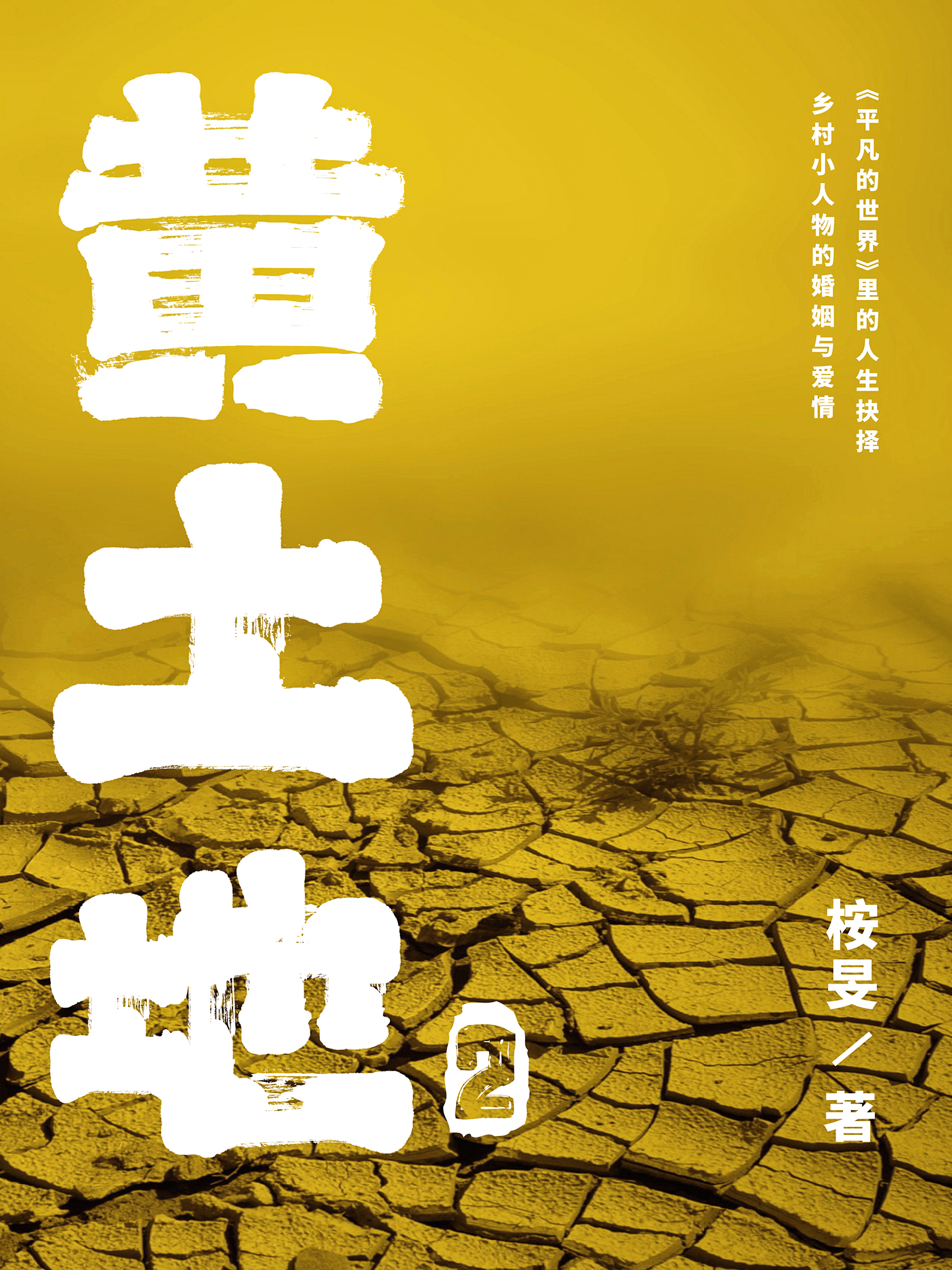 黄土地2