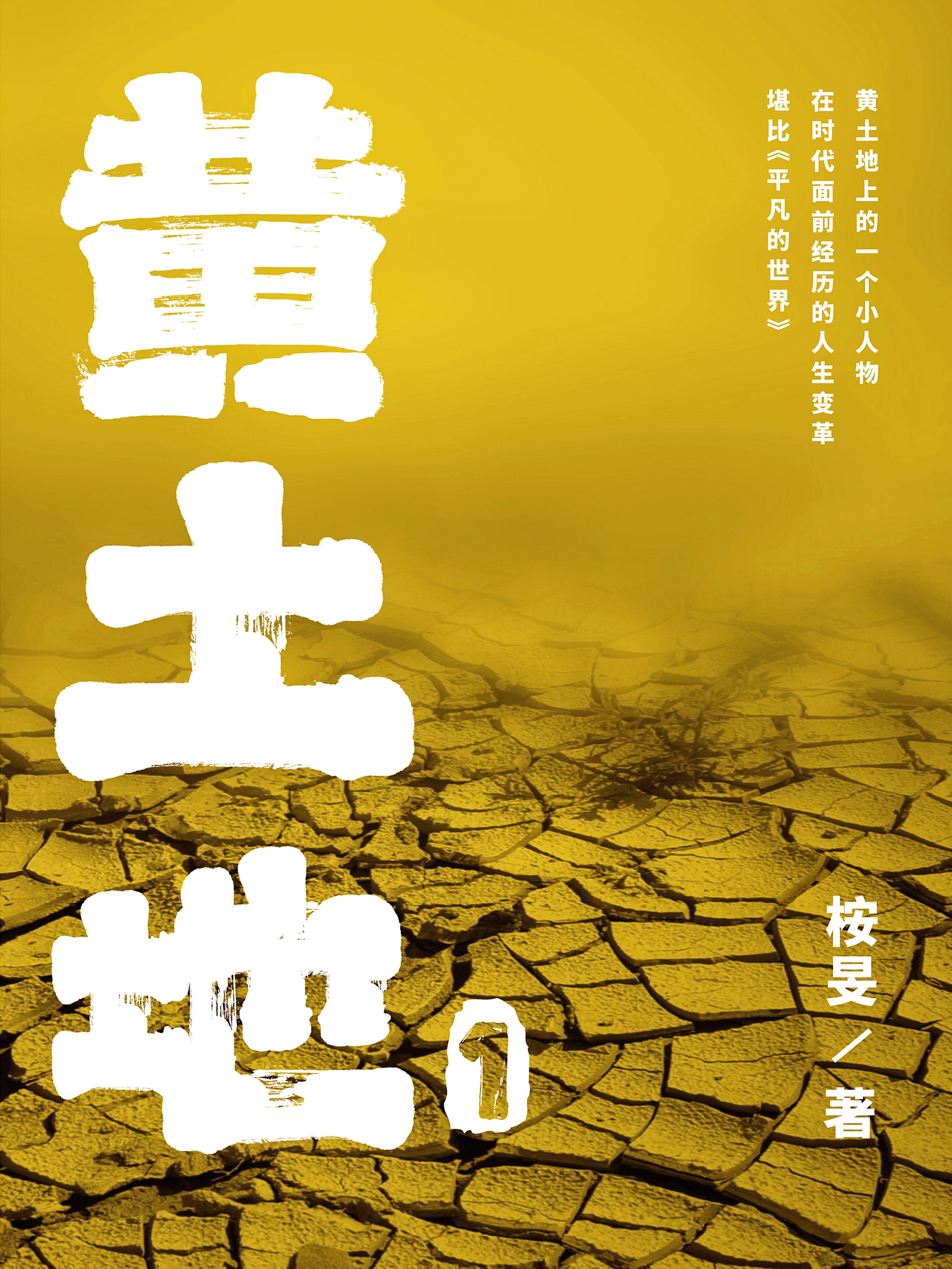黄土地1